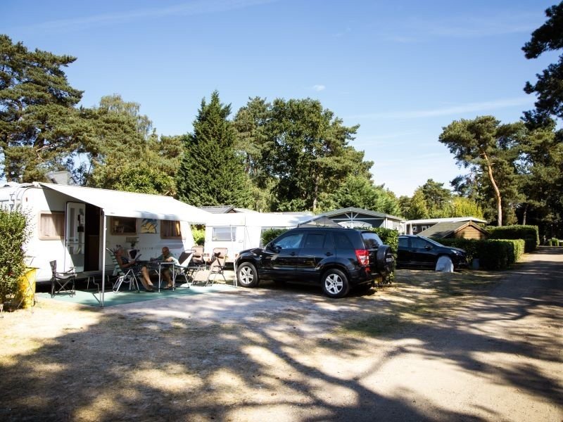 Maasduinen Camping bei Roland